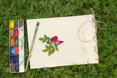 handmade sketchbook with flowers and leaves of wild rose, watercolor paints and brush on the background of grassの写真素材