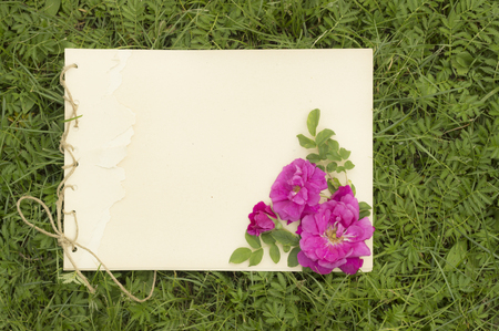 handmade drawing pad with flowers and leaves of wild rose on the background of grassの写真素材
