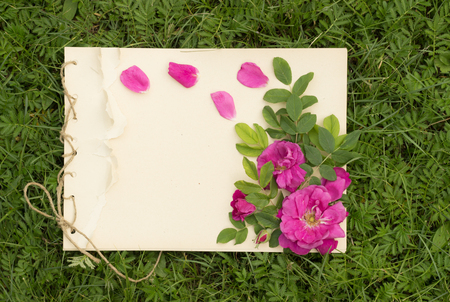 handmade drawing pad with flowers and leaves of wild rose on the background of grassの写真素材