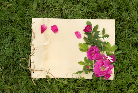 handmade drawing pad with flowers and leaves of wild rose on the background of grassの写真素材