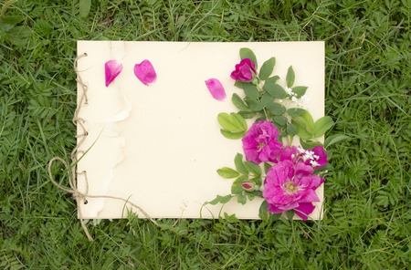 handmade drawing pad with flowers and leaves of wild rose on the background of grassの写真素材