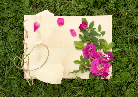 handmade drawing pad with flowers and leaves of wild rose on the background of grassの写真素材