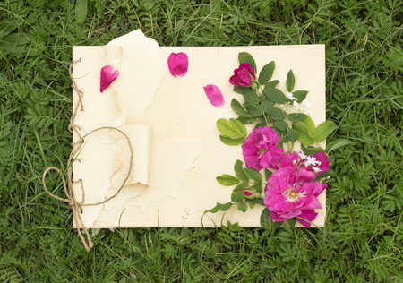 handmade drawing pad with flowers and leaves of wild rose on the background of grassの写真素材