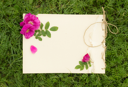 handmade drawing pad with flowers and leaves of wild rose on the background of grassの写真素材