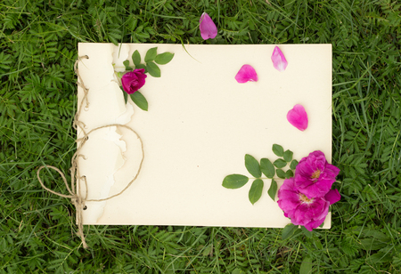 handmade drawing pad with flowers and leaves of wild rose on the background of grassの写真素材