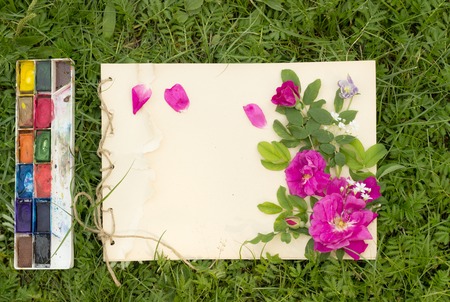 handmade drawing pad with flowers and leaves of wild rose, watercolor paints and brush on the background of grassの写真素材