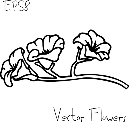 Flower card isolated on white background. Vector illustration.のイラスト素材