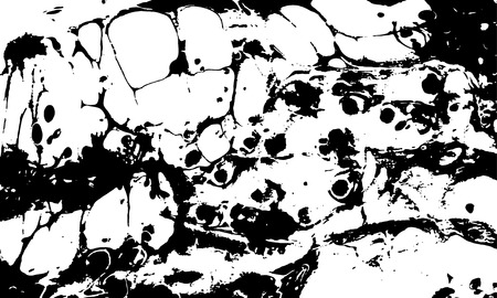Black and white marbled abstract background. Vector illustration. Marble ebru texture.のイラスト素材
