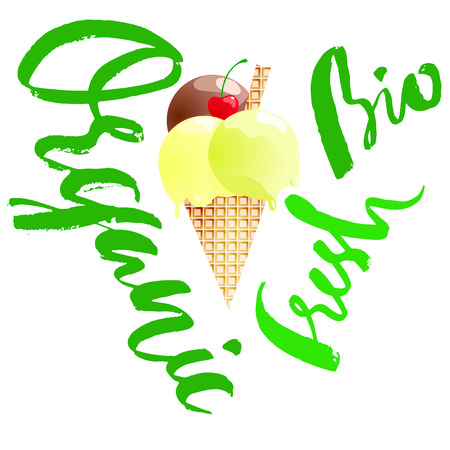 Organic ice cream. Eco dessert. Organic food.のイラスト素材