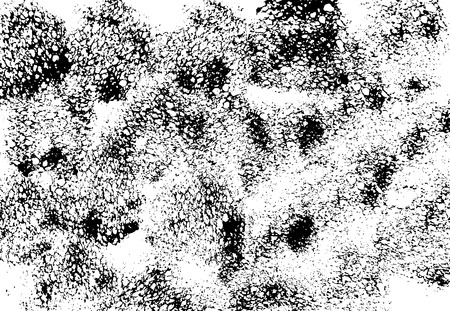 Abstract black sponge stains texture. Design for your brushes and grunge effectsのイラスト素材