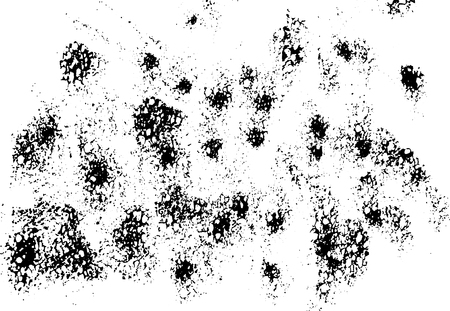 Abstract black sponge stains texture. Design for your brushes and grunge effectsのイラスト素材