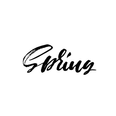 Handwritten lettering. Spring. Hand drawn calligraphy letters. Vector illustration. Typography poster.の写真素材