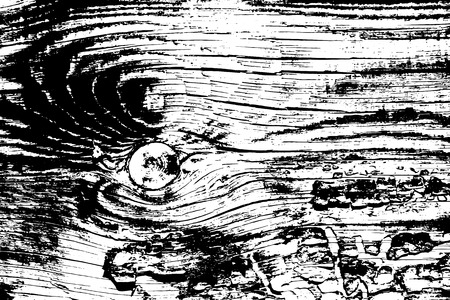 Wood grunge texture. Natural wooden isolated background. Vector illustrationのイラスト素材