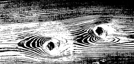 Wood grunge texture. Natural wooden isolated background. Vector illustration.のイラスト素材