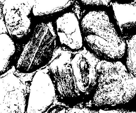 Vector sea stones background in black and white texture vector illustrationのイラスト素材