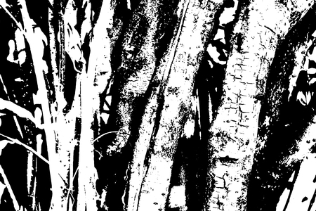 Wood grunge texture natural wooden isolated background vector illustrationのイラスト素材