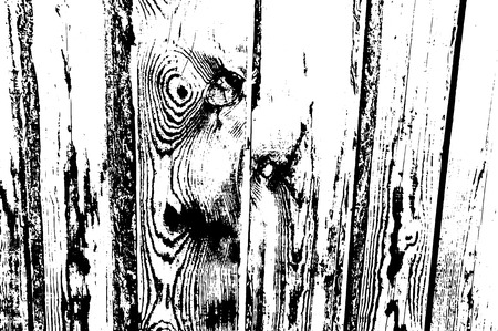 Wood grunge texture. Natural wooden isolated background. Vector illustrationのイラスト素材