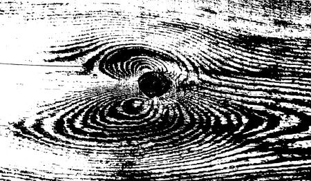 Wood grunge texture. Natural wooden isolated background. Vector illustrationのイラスト素材