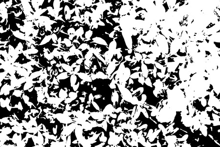 Black and white grunge texture. Marbling illustration. Abstract background. Vector pattern.のイラスト素材