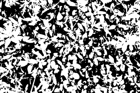 Black and white grunge texture. Marbling illustration. Abstract background. Vector pattern.のイラスト素材