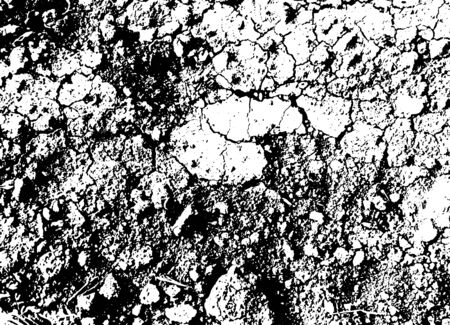 Vector stones background. Black and white texture. Vector illustration.の写真素材
