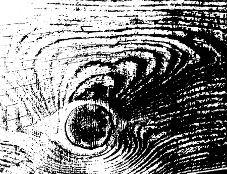 Wood grunge texture. Natural isolated background. Vector illustration. Wooden ringsの写真素材