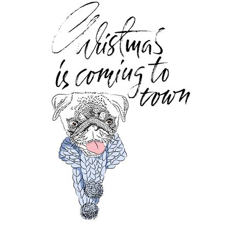 Christmas is coming to town. Handdrawn white and black modern dry brush lettering. Dog with knitted scarf. Cute pug portrait. Vector illustration.のイラスト素材