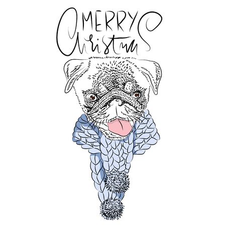Merry Christmas. Handdrawn white and black modern dry brush lettering. Dog with knitted scarf. Cute pug portrait. Vector illustration.のイラスト素材