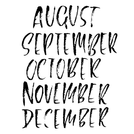 Hand drawn set of months. Modern dry brush lettering. Names of the months. Vector illustration. Handwritten grunge inscriptionのイラスト素材