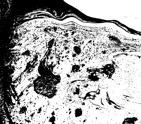 Black and white liquid texture. Watercolor hand drawn marbling illustration. Abstract vector background. Monochrome marble pattern.のイラスト素材