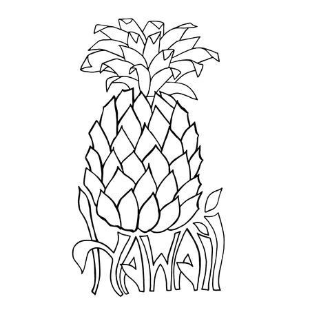 Hawaii. Typography banner. Pineapple sketch illustration. Aloha poster. Vector hand drawn letteringのイラスト素材