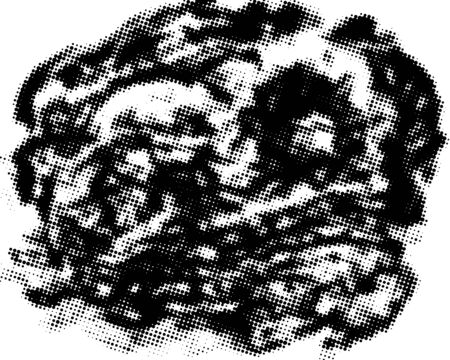 Black and white grunge texture. Abstract halftone background. Vector patternのイラスト素材