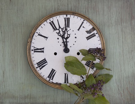 Old clock on the green wood background. New year background with plants and purple berries. Fresh...