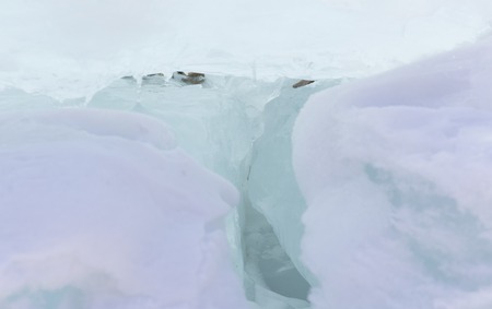 Transparent blue ice hummocks on lake Baikal shore. Siberia winter blur background. Snow-covered ice of the lake.の写真素材