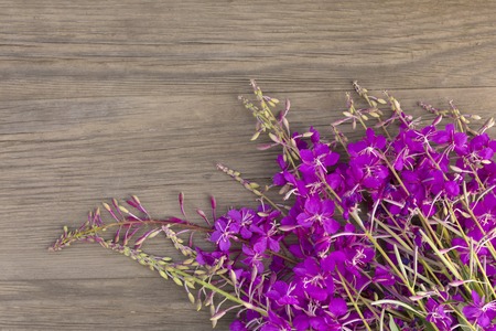 Willow-herb purple flowers on old grunge wooden background. Top view. Minimalistic mockupの写真素材