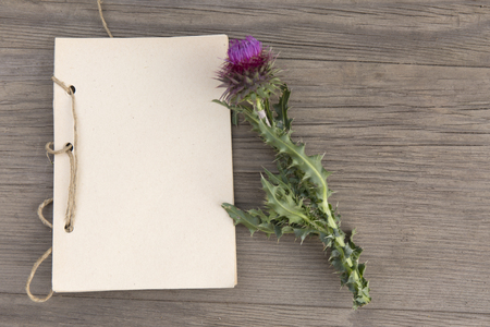 Wildflower with handmade craft notebook on old grunge wooden background. Top view. Minimalistic mockup.の写真素材