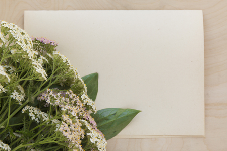 Wild flowers on craft paper background.の写真素材