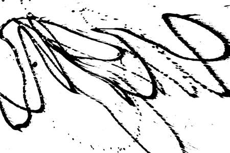Ink grunge drops texture. Black hand drawn splashes and stains on white background.の写真素材