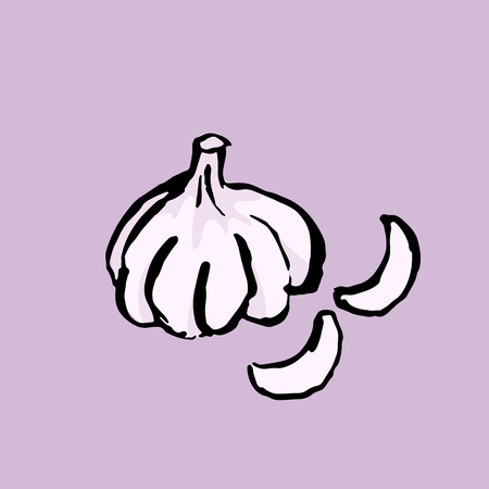 Garlic grunge brush icon. Vector hand drawn illustrationのイラスト素材