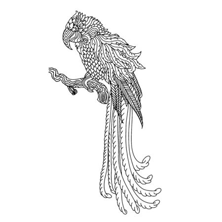 Parrot sketch. Doodle bird pattern. Vector illustration.のイラスト素材