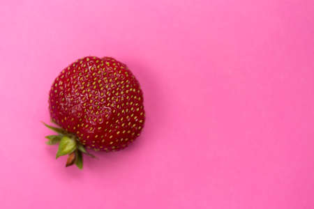 Fresh red strawberry on pink background. Close up photo.の写真素材