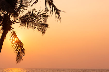 Silhouette coconut palm tree on sea and sunset sky backgroundの写真素材