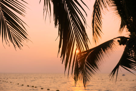 Silhouette coconut palm tree on sea and sunset sky backgroundの写真素材
