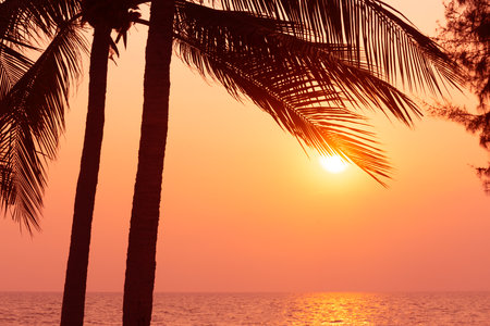 Silhouette coconut palm tree on sea and sunset sky backgroundの写真素材