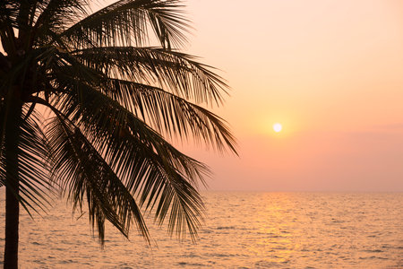 Silhouette coconut palm tree on sea and sunset sky backgroundの写真素材