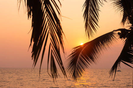 Silhouette coconut palm tree on sea and sunset sky backgroundの写真素材