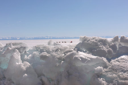 Santa Rides in a Dog Sled on a Frosen Lakeの写真素材