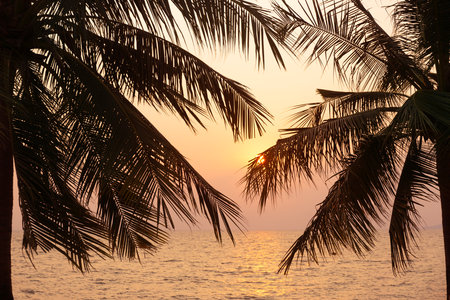 Silhouette coconut palm tree on sea and sunset sky backgroundの写真素材