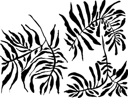 Brush Leaves Black Silhouette Setのイラスト素材