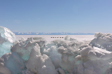 Sled Dogs Run on the Frosen Lakeの写真素材